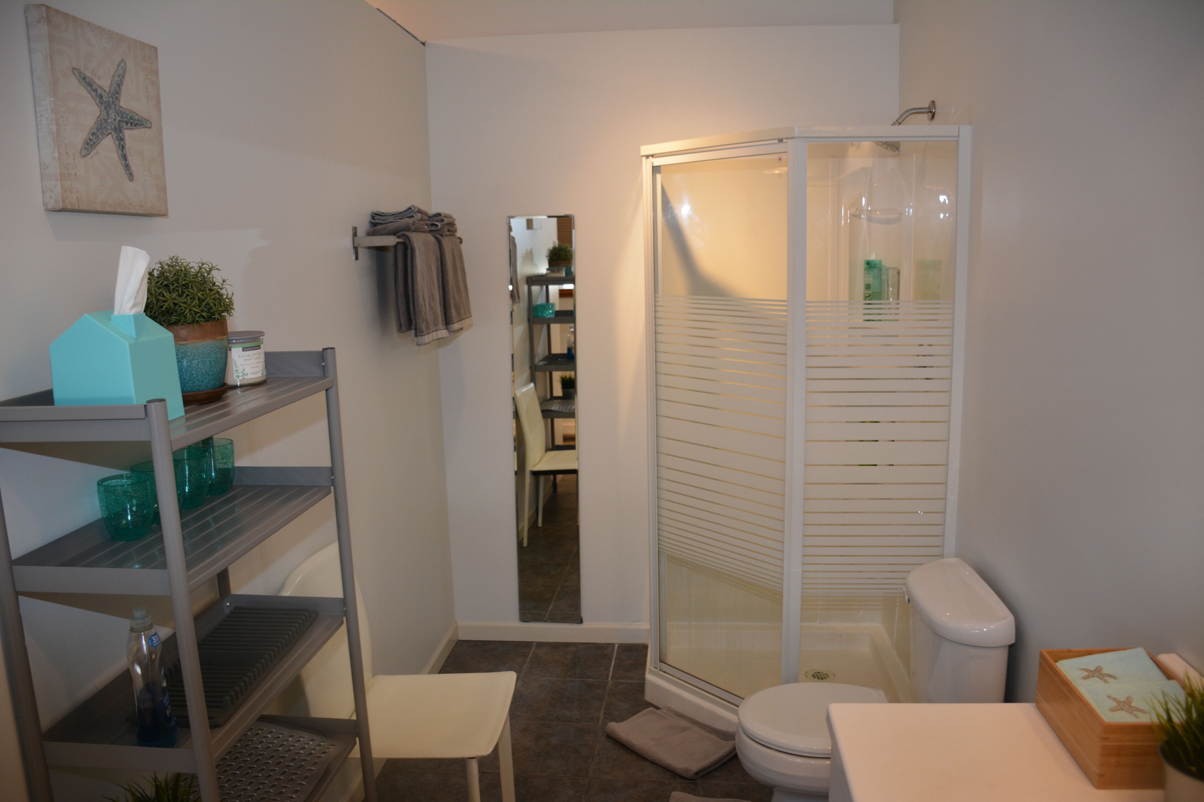 A bathroom with a shower, toilet, and shelves with toiletries.