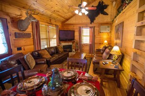 TV, fireplace, stereo