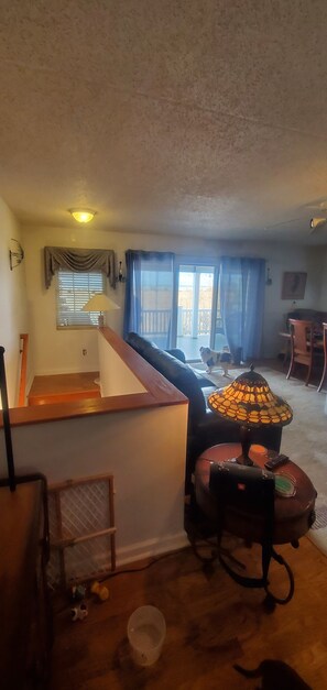 Flachbildfernseher, DVD-Player, Stereoanlage