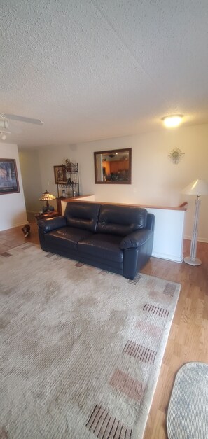 Télévision à écran plat, lecteur de DVD, chaîne hi-fi