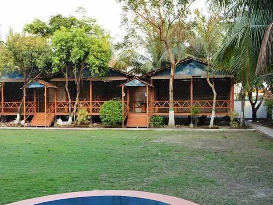 Un edificio de estilo bungalow con fachada de madera y techo de paja, rodeado de un césped cuidado y palmeras.
