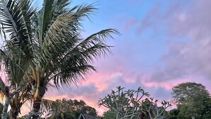 A traditional thatched-roof house with a wooden deck over a body of water, surrounded by lush greenery and palm trees. - N'jung Bali Camp (Kintamani)