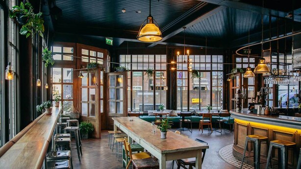 A cozy restaurant interior with wooden tables, bar stools, hanging plants, and large windows. - The Culpeper (London)