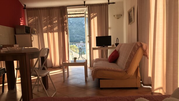 Studio, Balcony | Living area | Flat-screen TV - Apartments Ivanisevic (Kotor)