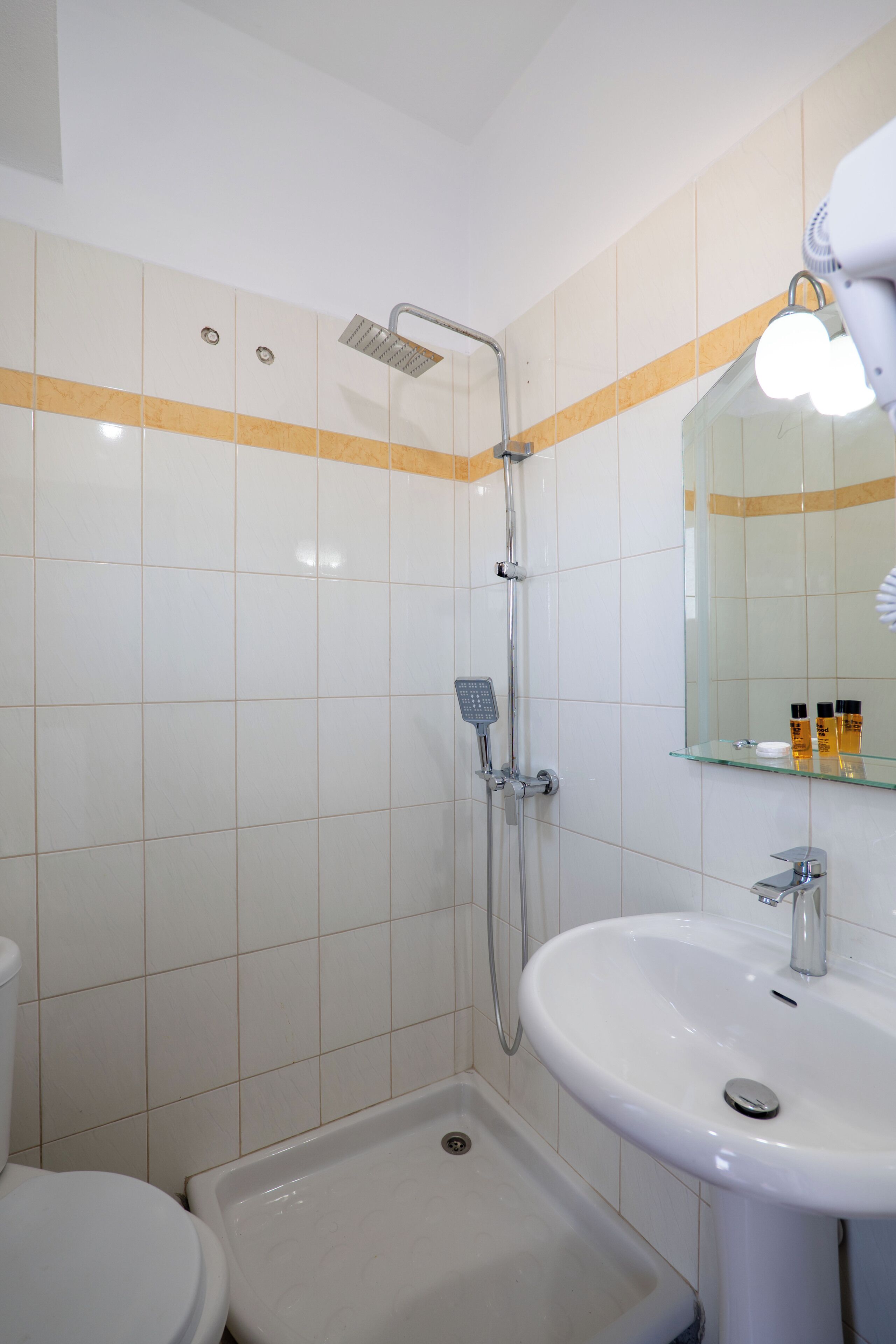 Une salle de bain avec douche, toilettes et lavabo.