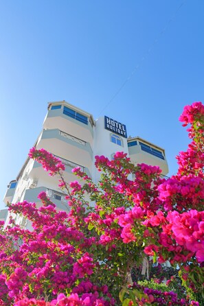 Vista frontal de la propiedad