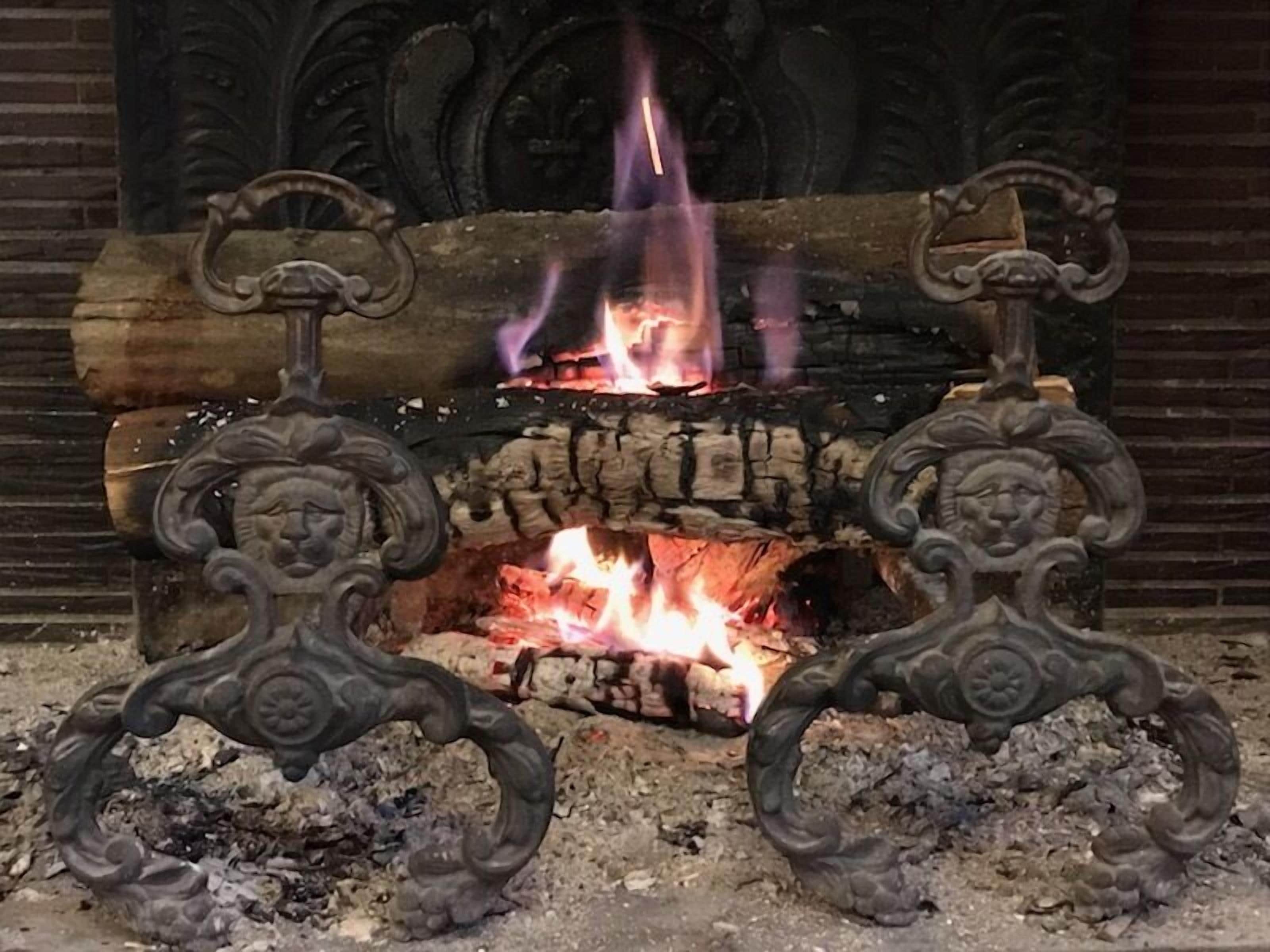 A fireplace with ornate metal brackets and burning logs.