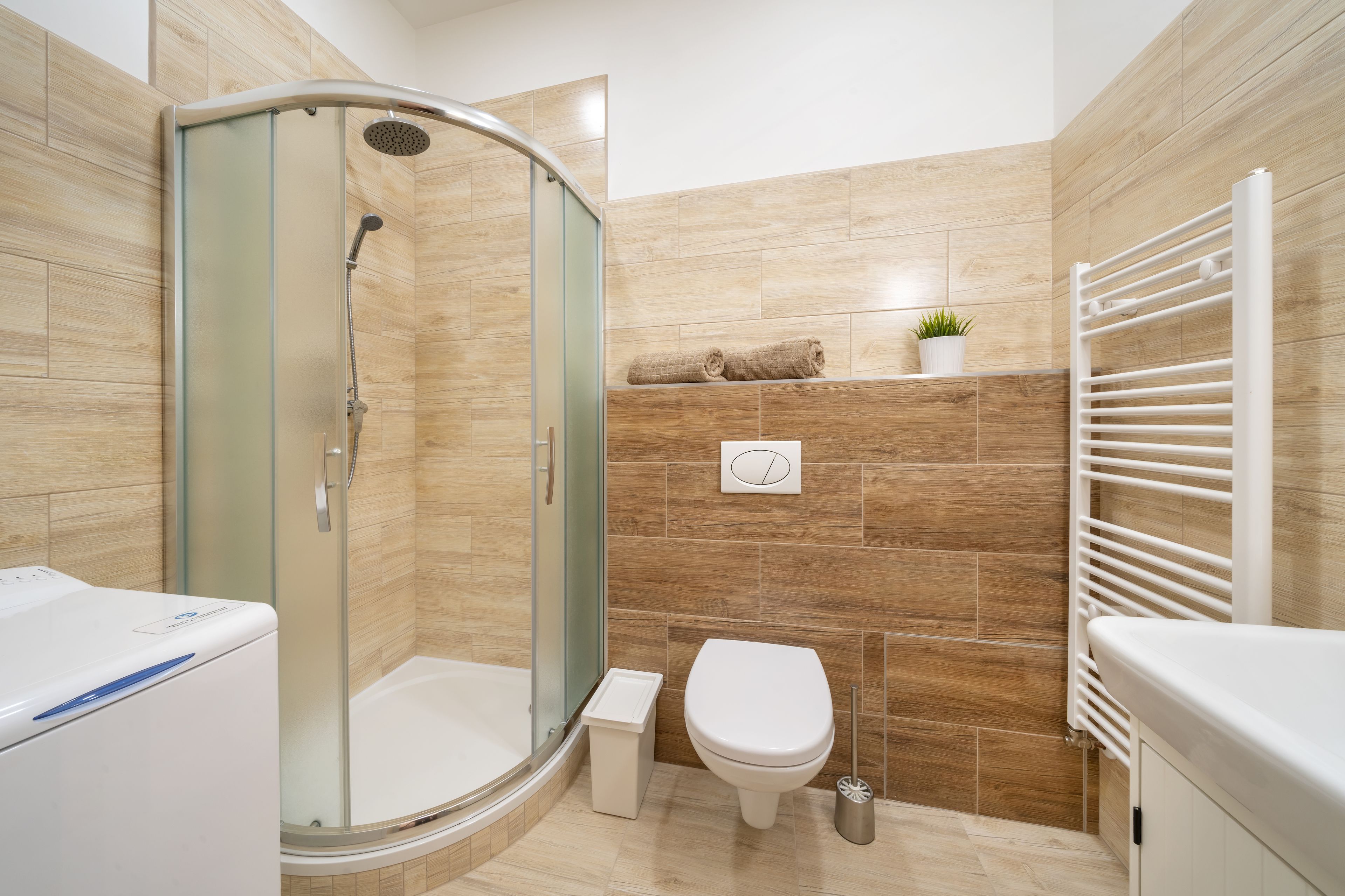 Economy Apartment | Bathroom shower