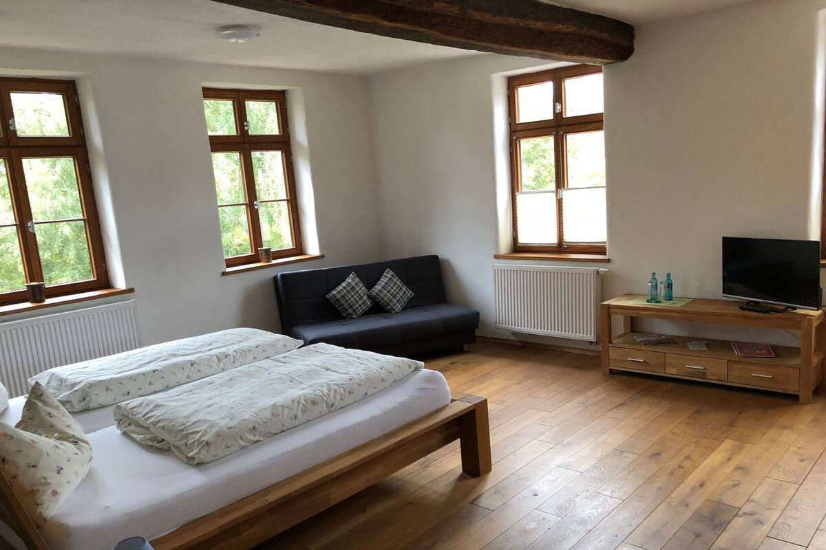 A room with a bed, a sofa, a TV on a wooden stand, and large windows.