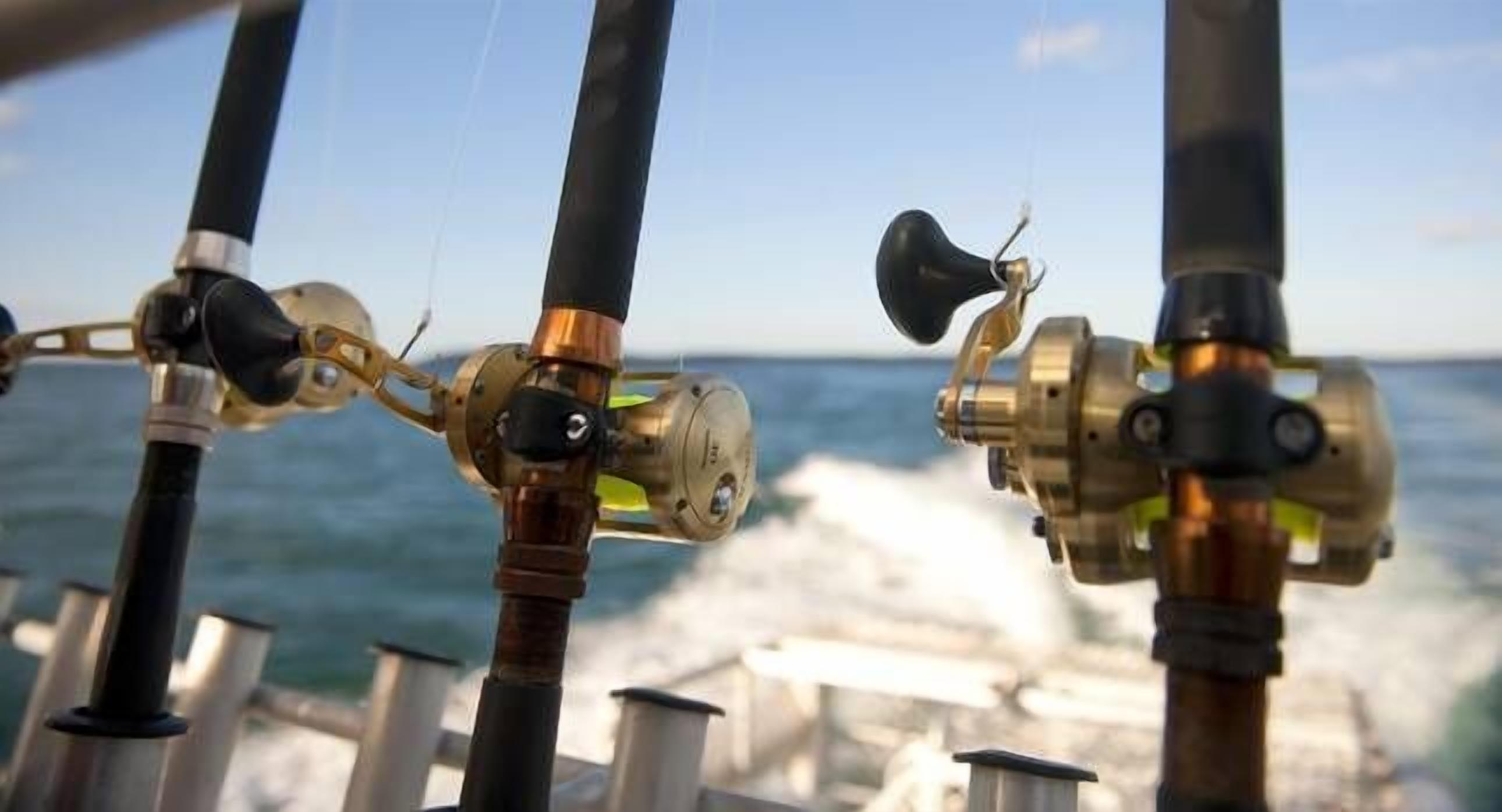 Peaceful family friendly accommodation close to the beach and jetty — image 18