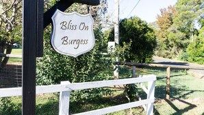 A sign that reads "Bliss On Burgess" mounted on a wooden post. - Bare Foot Luxury, minutes from Maleny Town Centre (Maleny)