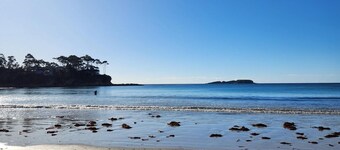 Big comfy family / pet friendly beach house