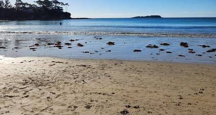 Big comfy family / pet friendly beach house