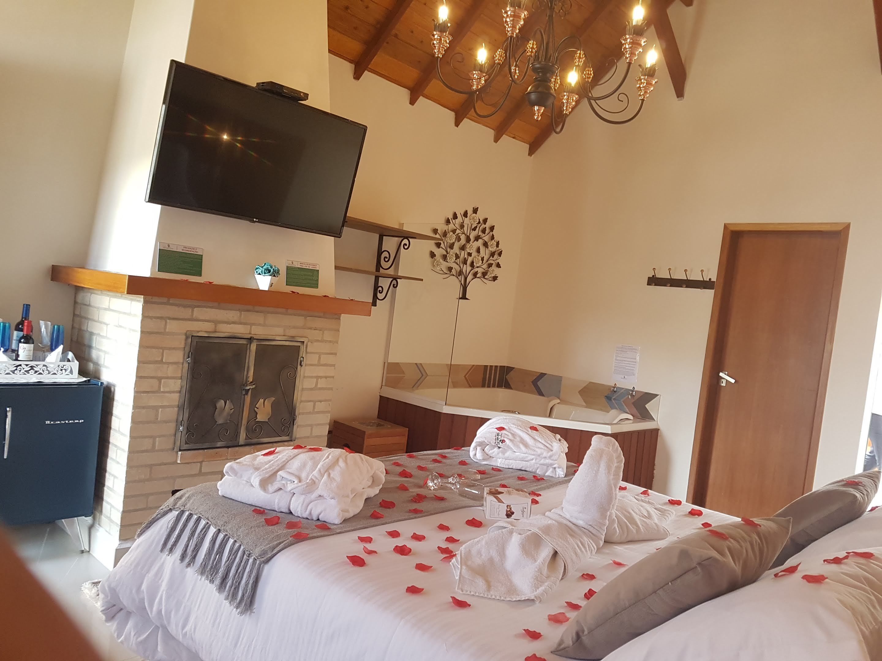 A hotel room with a bed, a TV, a fireplace, and a shower area.