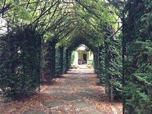 The wisteria walk looking back towards the front verandah. 