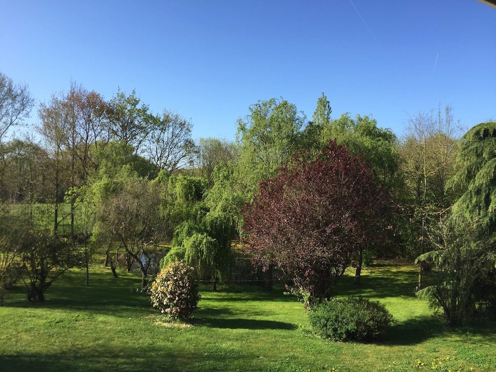 Les Arbres Rouges by null