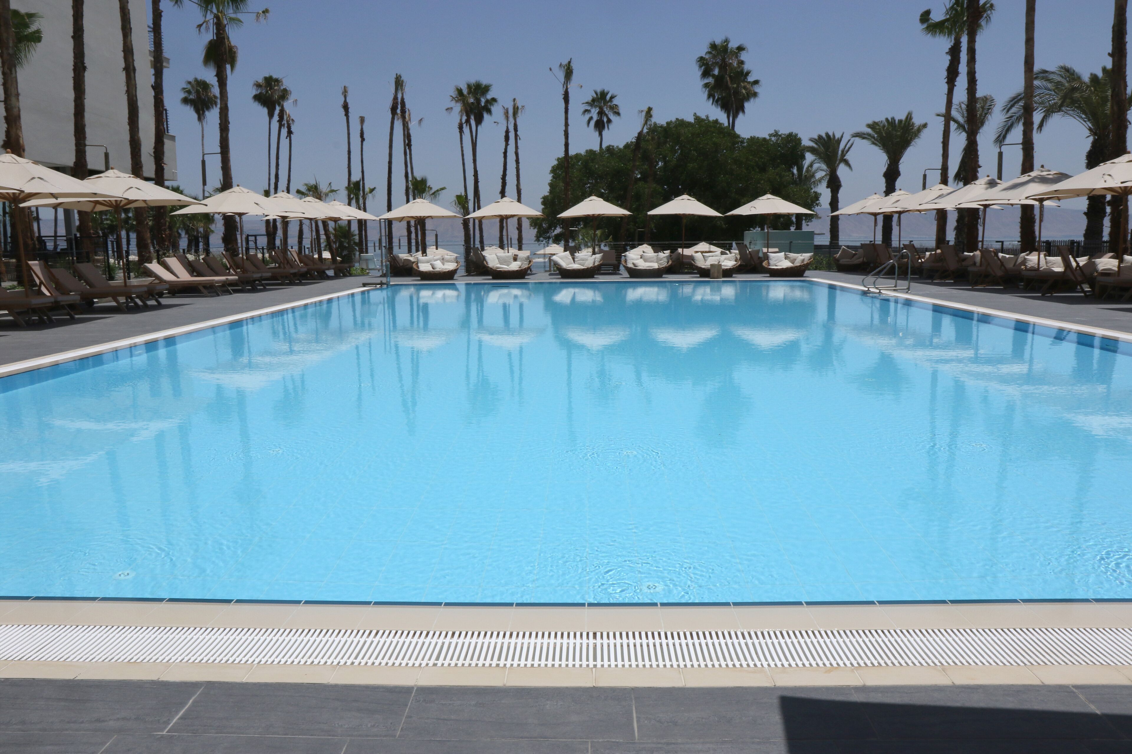 A swimming pool with lounge chairs and umbrellas, surrounded by palm trees.