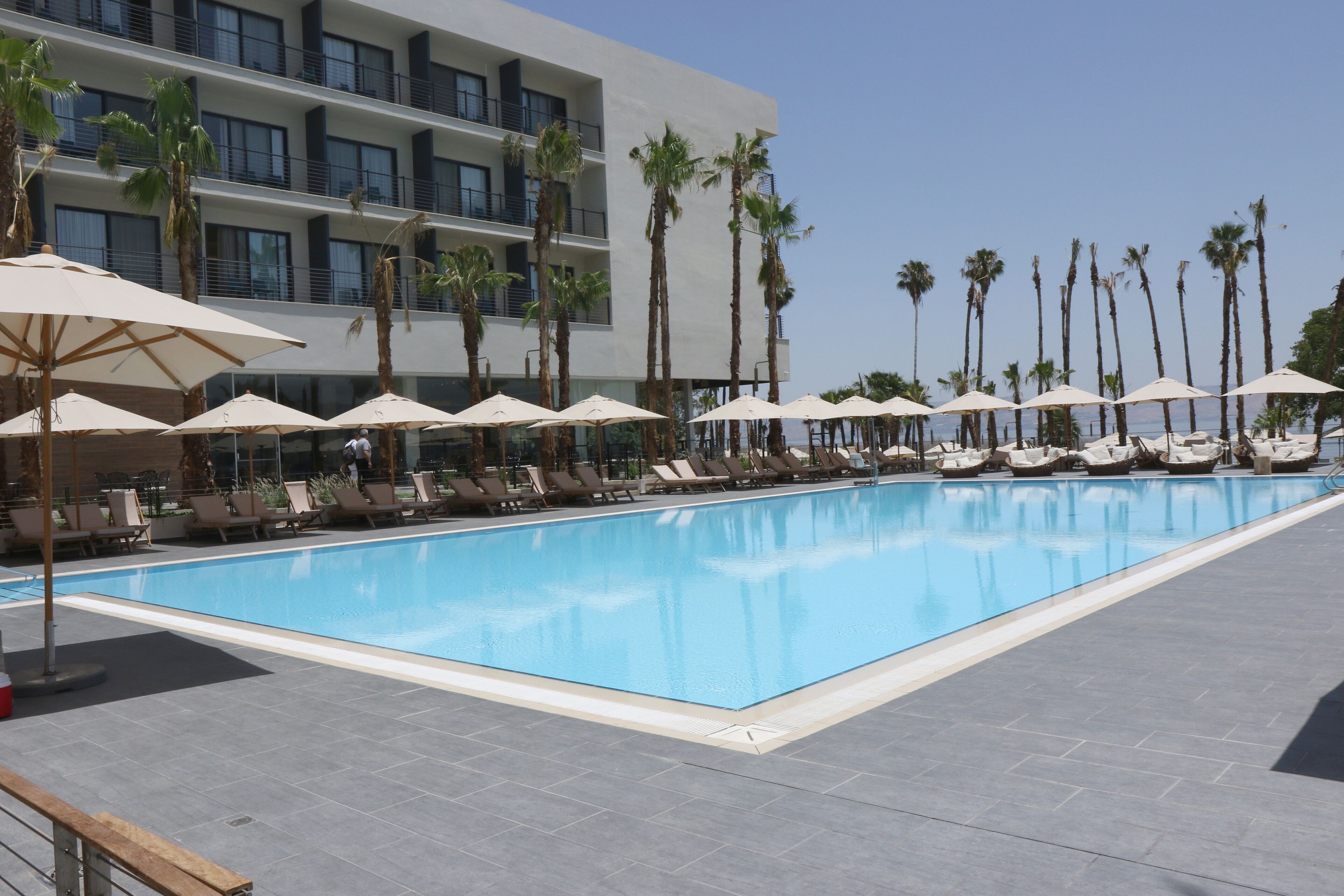 A swimming pool with lounge chairs and umbrellas, surrounded by palm trees and a multi-story building.