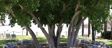 A circular seating area with patterned cushions under a large tree, surrounded by a stone border.