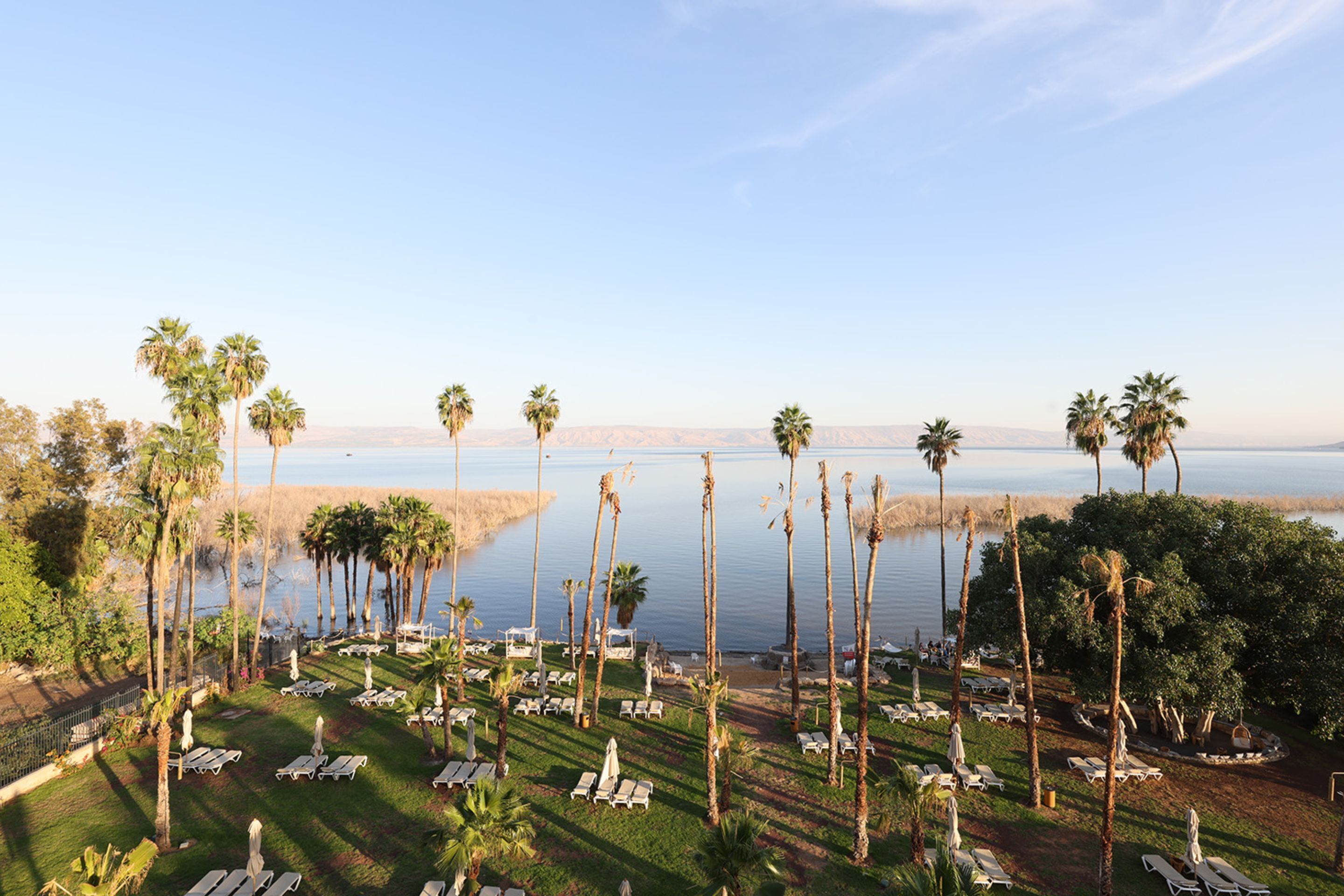 A resort with sun loungers and palm trees, overlooking a calm body of water.