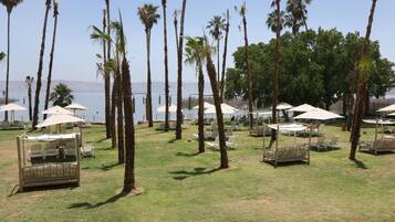Un complexe hôtelier situé en bord de mer, agrémenté de palmiers, de chaises longues et de parasols.