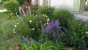 DĂ©tail de lâextĂ©rieur