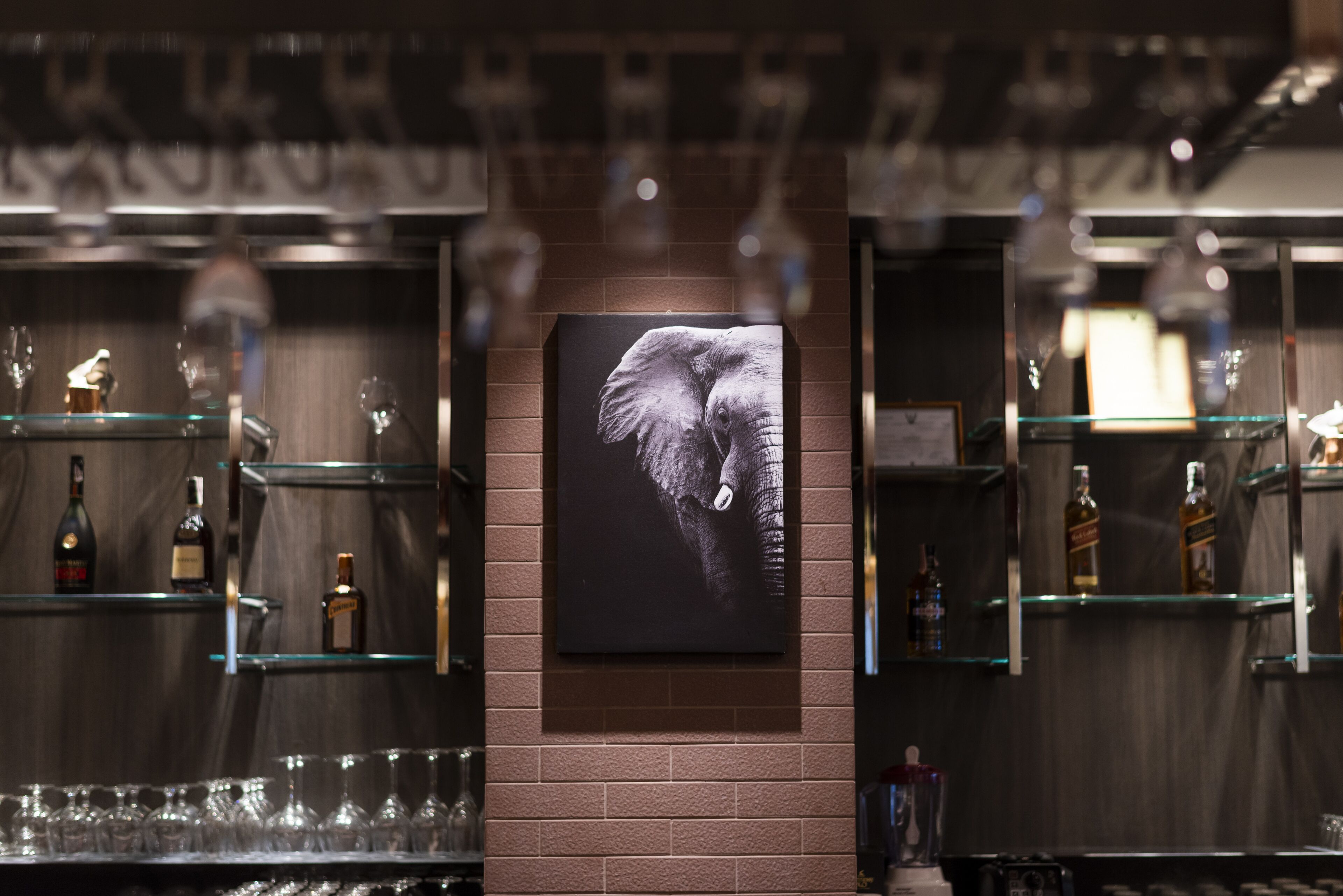 Bar (en la propiedad)