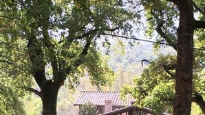Une cabane rustique avec une façade en pierre, une terrasse en bois et un garage.