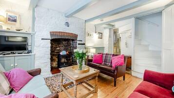 Smart TV, fireplace, DVD player, books