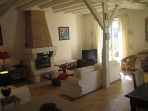 TV, fireplace, DVD player, books