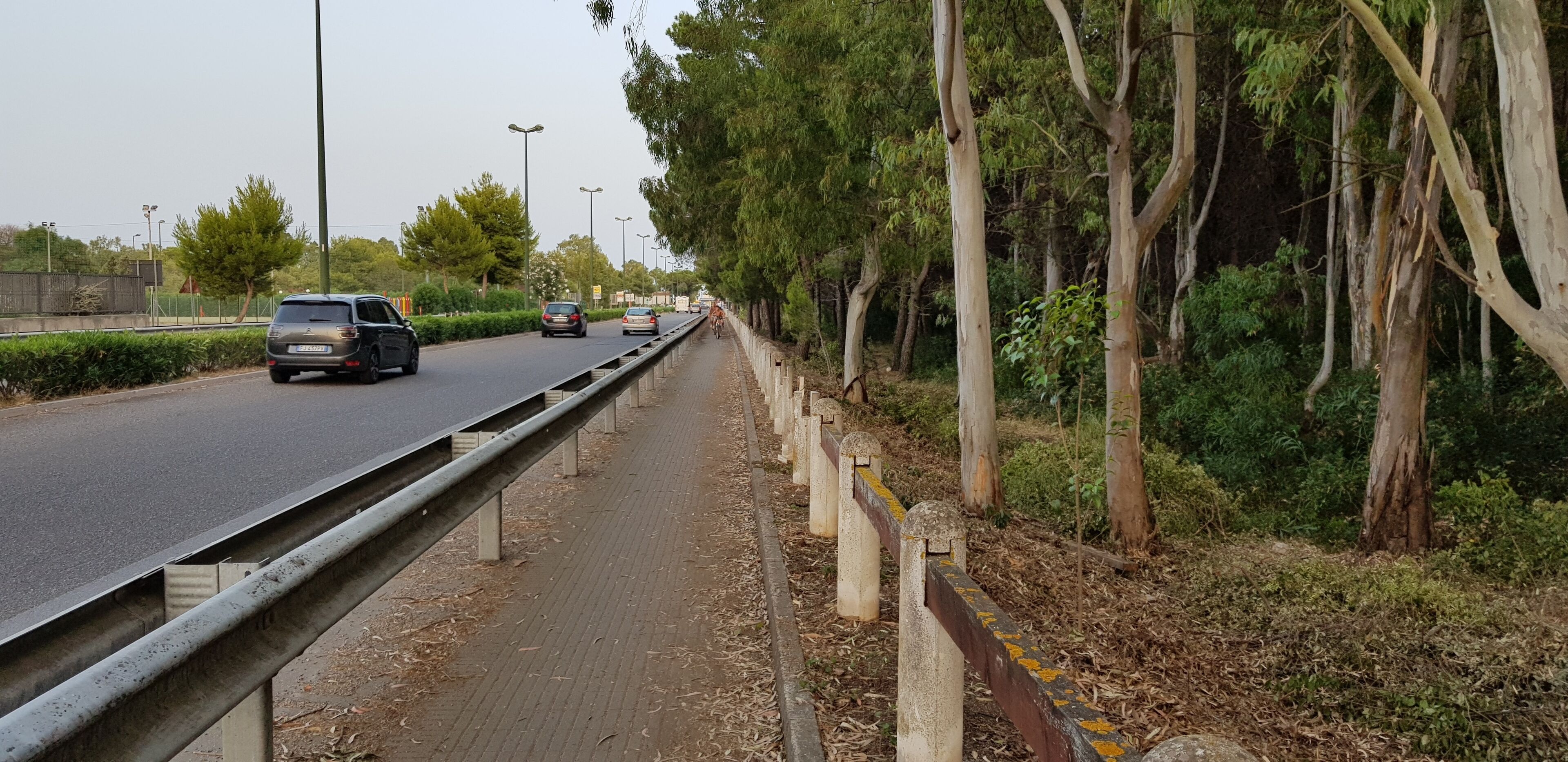 A road with vehicles, a sidewalk, and trees.