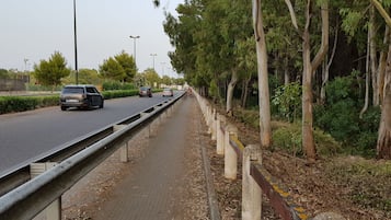A road with vehicles, a sidewalk, and trees.
