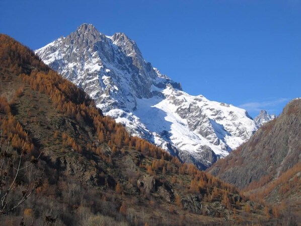 Une montagne enneigée, avec des arbres aux couleurs automnales au premier plan.