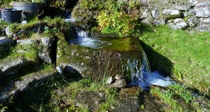 Secluded farmhouse – high on Dartmoor, with private access to the River Dart