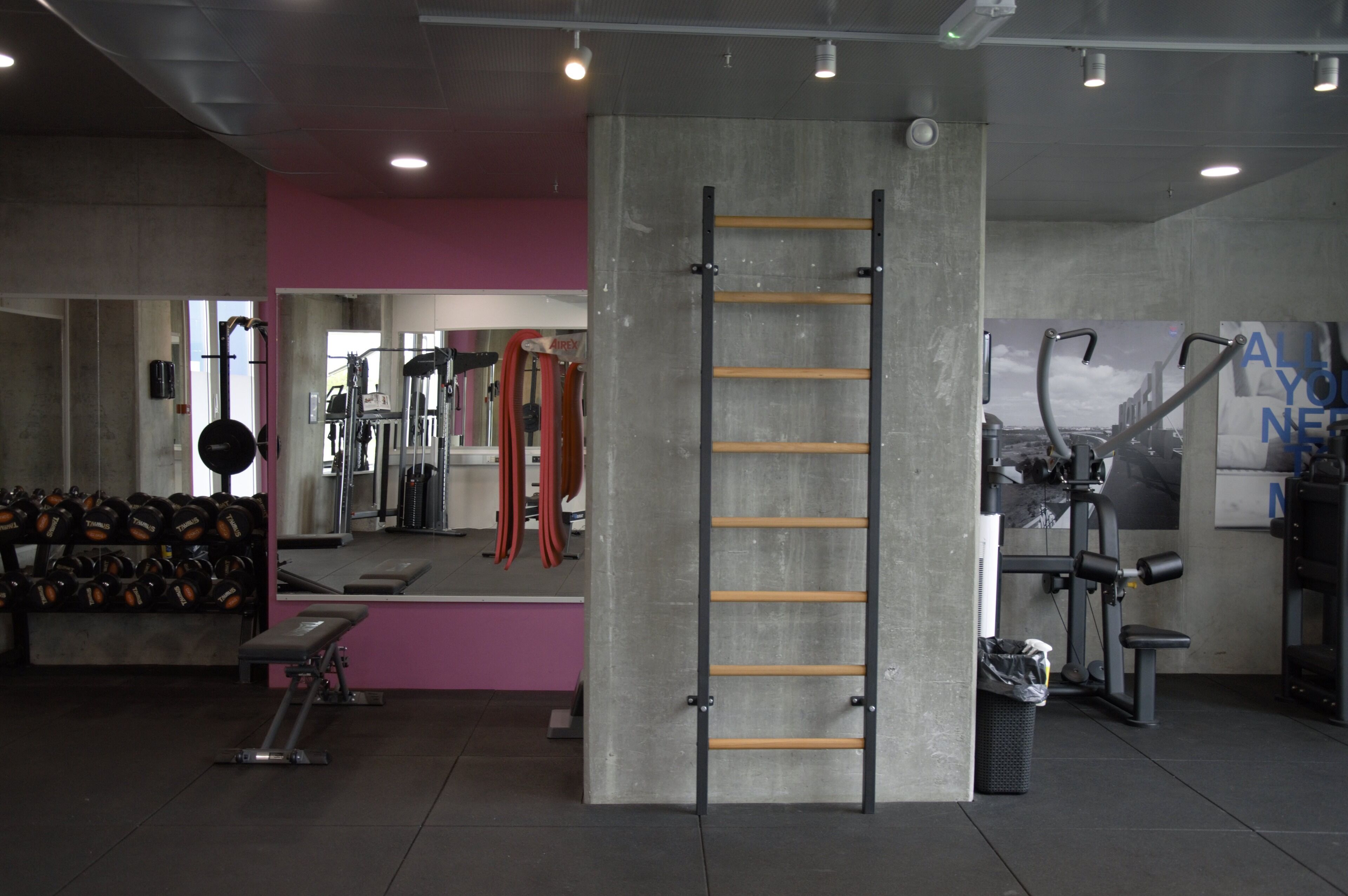 Ett gym med en betongpelare, en stång för chins och vikthållare.