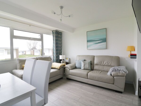 Smart TV, DVD player, books