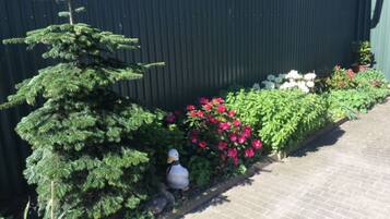 En have med et nåletræ, blomstrende planter og en sti.