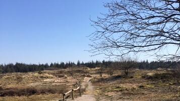 Land view from property