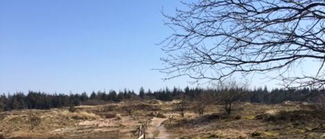 Land view from property