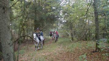 Um grupo de pessoas a cavalo por uma área arborizada.