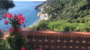 Property grounds - Cozy house with fantastic sea view from every room, free WLAN (Elba)