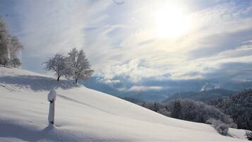 A snow-covered landscape with a single person standing on a slope, trees, and a cloudy sky.