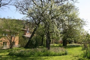 Ein Garten mit einem großen Baum, einem Steinhaus und einem weißen Zaun.