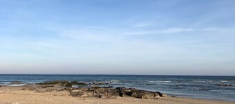Charming granite house near the sea