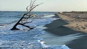 På stranden, hvidt sand, gratis strandtransport