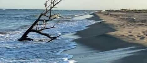 Plage, sable blanc, navette gratuite vers la plage