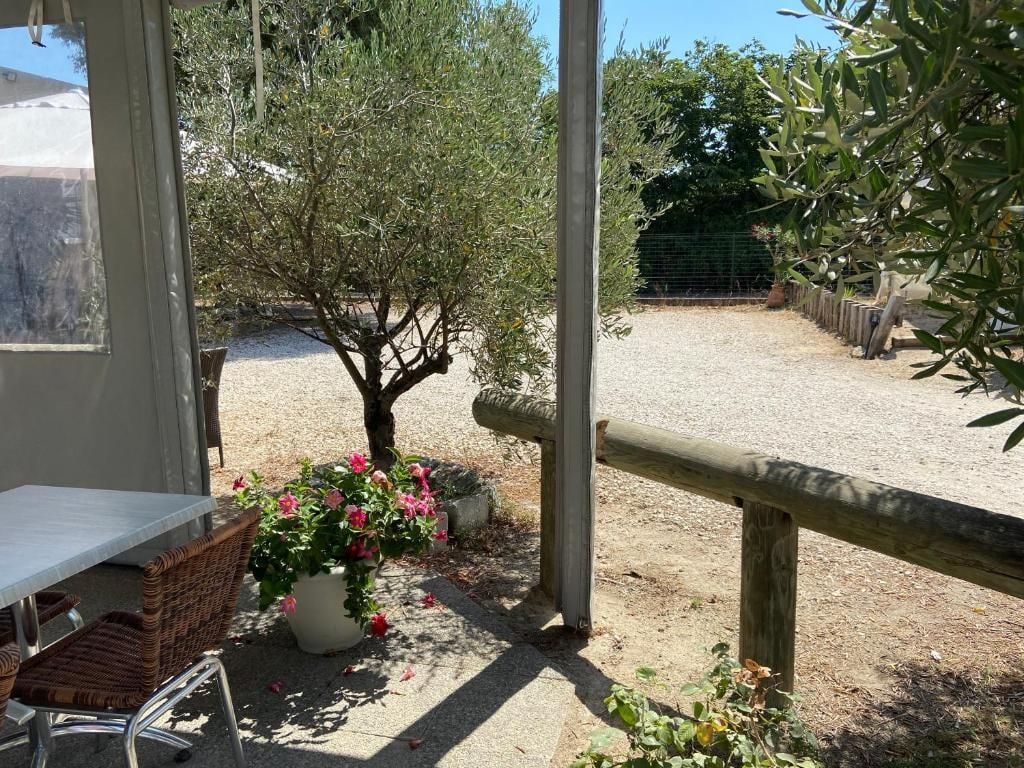 Un espace patio avec une table et des chaises, un pot de fleurs et une clôture en bois.