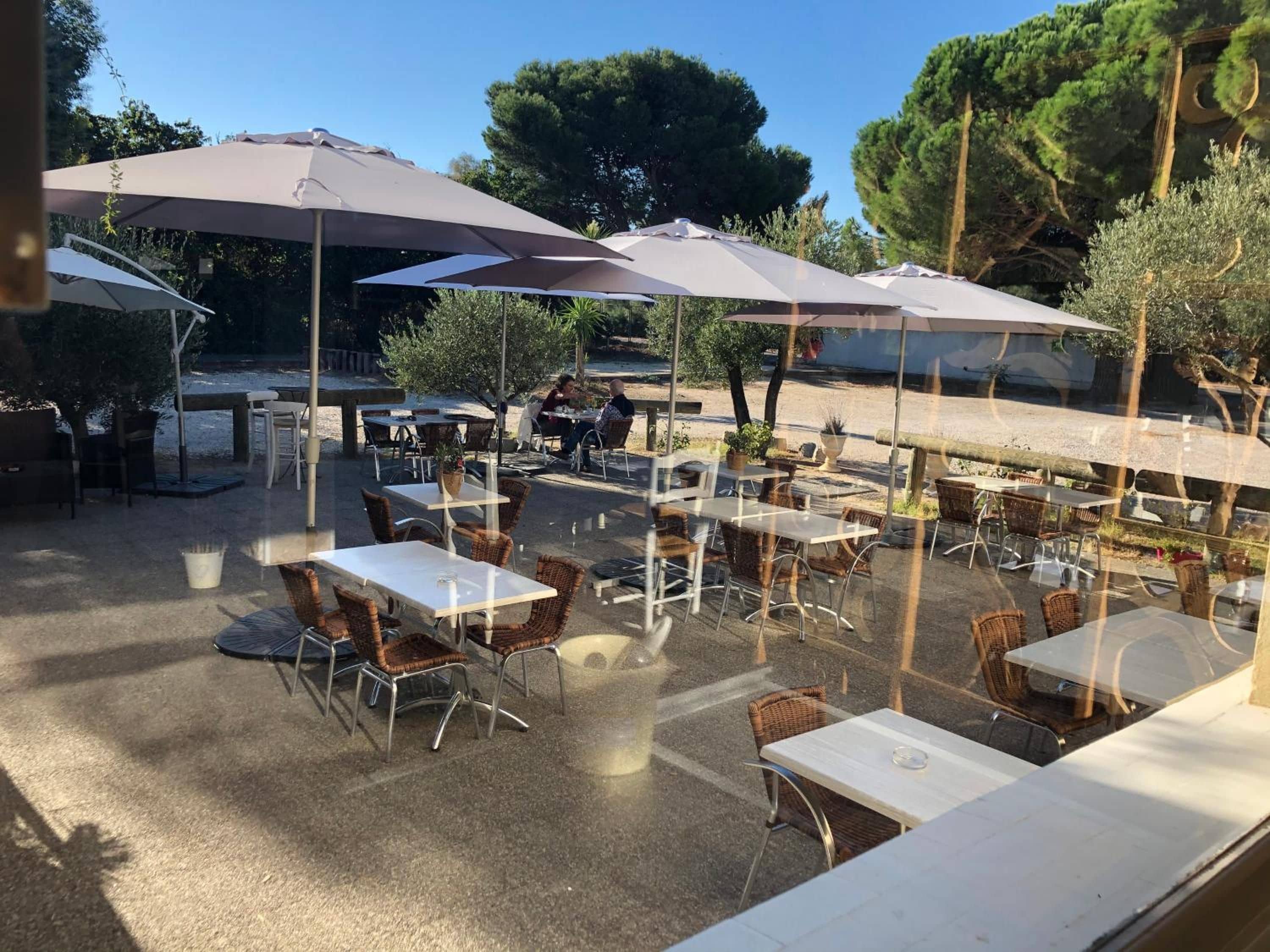 Un café al aire libre con mesas, sillas, sombrillas y plantas en macetas.