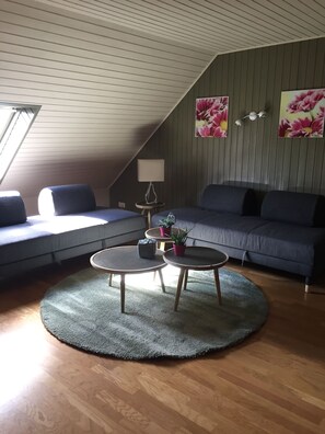 Fernseher