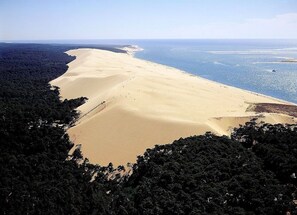 Une vue aérienne d’une zone côtière avec une vaste plage de sable, une forêt dense d’un côté et une vue dégagée sur l’océan.